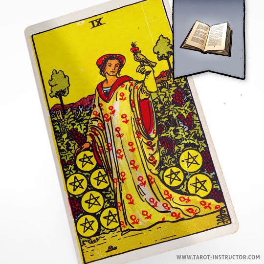 Nine of Pentacles as Advice