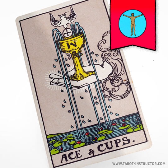 Ace of Cups as a Person