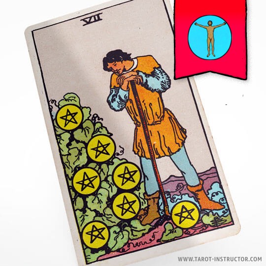 Seven of Pentacles as a Person
