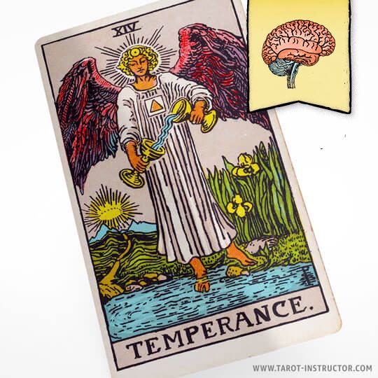 The Temperance as Feelings